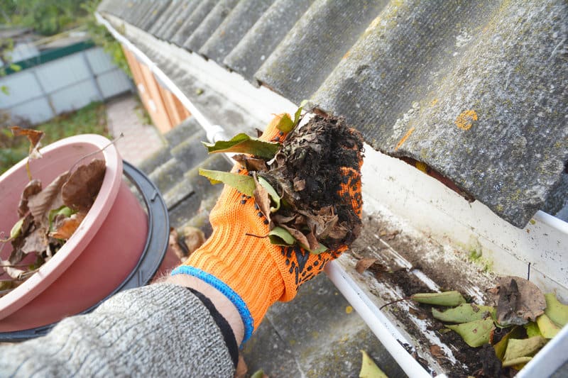 Clean gutter Calgary