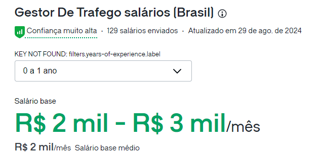 Você está visualizando atualmente Quanto Custa um Gestor de Tráfego por Mês?